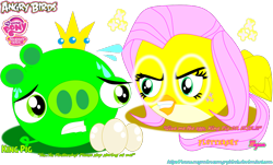 Size: 1014x613 | Tagged: safe, artist:meganlovesangrybirds, imported from derpibooru, fluttershy, bird, pig, angry, angry birds, bad piggies, birdified, crossover, egg, king pig, species swap, stare, the stare