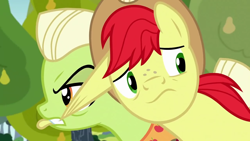 Size: 1280x720 | Tagged: safe, imported from derpibooru, screencap, bright mac, granny smith, earth pony, pony, the perfect pear, biting, ear bite, female, male, mare, mother and child, mother and son, pulling, stallion