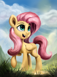 Size: 1440x1949 | Tagged: safe, artist:rbtm233, imported from derpibooru, fluttershy, pegasus, pony, cloud, cloudy, cute, female, folded wings, grass, head turned, looking away, looking up, mare, open mouth, outdoors, raised hoof, shyabetes, smiling, solo, standing, turned head, wings