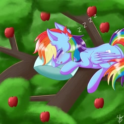 Size: 2213x2213 | Tagged: safe, artist:galaxy swirl, derpibooru exclusive, imported from derpibooru, rainbow dash, pegasus, pony, apple, apple tree, cute, dashabetes, ear fluff, eyebrows, eyebrows visible through hair, eyes closed, female, high res, lying down, mare, onomatopoeia, open mouth, pillow, prone, sitting in a tree, sleeping, solo, sound effects, tree, tree branch, zzz