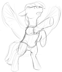 Size: 521x601 | Tagged: safe, artist:barhandar, blossomforth, pegasus, pony, bipedal, clothes, female, flying, mare, monochrome, open mouth, proud boys (organization), shirt, sketch, solo, spread wings, wings