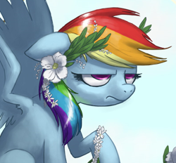Size: 394x365 | Tagged: source needed, safe, artist:joieart, edit, rainbow dash, pegasus, pony, cropped, female, flower, flower in hair, mare, raised hoof, solo, spread wings, unamused, wings