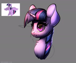 Size: 3000x2500 | Tagged: safe, artist:skitsniga, twilight sparkle, alicorn, pony, bust, chest fluff, female, horn, mare, solo, twilight sparkle (alicorn)