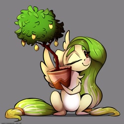 Size: 3000x3000 | Tagged: safe, artist:skitsniga, imported from ponybooru, oc, oc only, oc:lemony light, pegasus, pony, female, food, gray background, lemon, lemon tree, mare, one eye closed, pale belly, potted plant, simple background, sitting, solo, spread wings, tree, wings