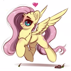 Size: 2048x2048 | Tagged: safe, artist:skitsniga, fluttershy, pegasus, pony, blushing, female, heart, looking at you, mare, simple background, sketch, solo, spread wings, white background, wings