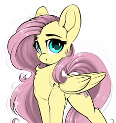 Size: 1925x2048 | Tagged: safe, artist:skitsniga, fluttershy, pegasus, pony, chest fluff, female, looking at you, mare, simple background, solo, white background, wings