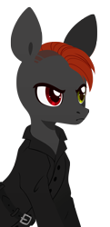 Size: 1942x4000 | Tagged: safe, artist:belka-sempai, imported from derpibooru, oc, oc only, earth pony, pony, belt, clothes, earth pony oc, heterochromia, simple background, solo, transparent background