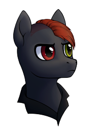 Size: 1452x2000 | Tagged: safe, alternate version, artist:belka-sempai, imported from derpibooru, oc, oc only, earth pony, pony, alternate design, belt, clothes, earth pony oc, heterochromia, simple background, solo, transparent background