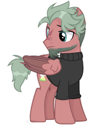 Size: 1280x1765 | Tagged: safe, artist:bebraveforme, artist:reptaurdrawsmlp, artist:tired-horse-studios, imported from derpibooru, oc, oc only, pegasus, pony, clothes, male, simple background, solo, stallion, sweater, transparent background, two toned wings, wings