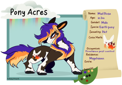 Size: 1474x1030 | Tagged: safe, artist:splairr, imported from derpibooru, oc, oc only, earth pony, pony, chest fluff, earth pony oc, male, reference sheet, simple background, solo, stallion, story included, transparent background, unshorn fetlocks