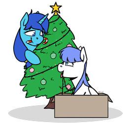 Size: 2200x2200 | Tagged: safe, artist:jellysiek, artist:jellysketch, imported from derpibooru, oc, oc only, oc:single drop, oc:snow pup, pegasus, pony, unicorn, behaving like a dog, box, candy, candy cane, christmas, christmas lights, christmas tree, commission, female, floppy ears, food, happy, holiday, looking at each other, looking down, looking up, mare, mouth hold, ornament, panting, simple background, sitting, smiling, stars, tongue out, transparent background, tree