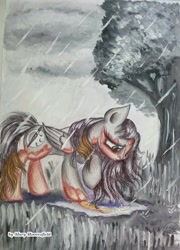 Size: 738x1024 | Tagged: safe, artist:maryhoovesfield, imported from derpibooru, oc, oc only, pegasus, pony, cloud, eyelashes, grass, pegasus oc, rain, sad, signature, solo, traditional art, tree, wings