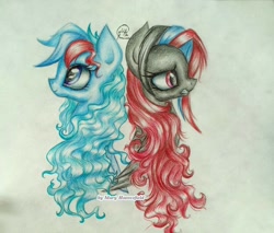 Size: 1024x874 | Tagged: safe, artist:maryhoovesfield, imported from derpibooru, oc, oc only, earth pony, pegasus, pony, bust, duo, earth pony oc, eyelashes, pegasus oc, signature, traditional art, wings, worried
