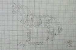Size: 1024x667 | Tagged: safe, artist:maryhoovesfield, imported from derpibooru, oc, oc only, pony, skeleton pony, unicorn, bone, graph paper, horn, lineart, signature, skeleton, traditional art, unicorn oc