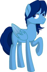 Size: 1881x2910 | Tagged: artist needed, safe, derpibooru exclusive, imported from derpibooru, oc, oc only, oc:moonbow dew, pegasus, pony, derpibooru community collaboration, 2021 community collab, male, raised hoof, simple background, solo, stallion, transparent background