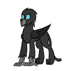 Size: 768x768 | Tagged: safe, artist:somber, imported from derpibooru, oc, oc only, griffon, derpibooru community collaboration, 2021 community collab, male, simple background, solo, transparent background