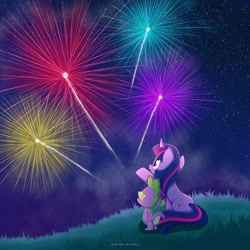 Size: 1024x1024 | Tagged: safe, artist:nnaly, imported from derpibooru, spike, twilight sparkle, dragon, pony, unicorn, female, fireworks, grass, mare, night, signature, stars, unicorn twilight