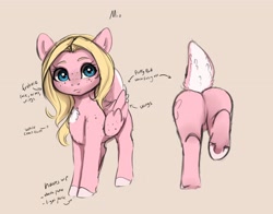 Size: 3235x2539 | Tagged: safe, artist:miokomata, imported from derpibooru, oc, oc only, oc:mio, pegasus, pony, butt, deer tail, female, freckles, mare, plot, reference sheet, shoulder freckles, simple background, solo, underhoof, wing freckles