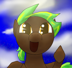 Size: 864x814 | Tagged: safe, artist:cleasia, imported from derpibooru, oc, oc only, oc:midnight premier, pony, sky, solo