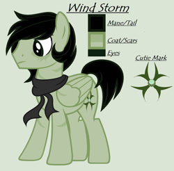 Size: 1280x1260 | Tagged: safe, artist:lominicinfinity, imported from derpibooru, oc, oc only, oc:wind storm, pegasus, pony, clothes, male, reference sheet, scarf, simple background, solo, stallion