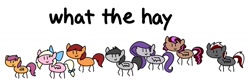 Size: 1200x390 | Tagged: safe, artist:emberslament, imported from derpibooru, scootaloo, oc, oc:bay breeze, oc:blazing beams, oc:helicity, oc:hors, oc:mona pia, what the hay?