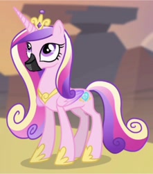 Size: 2715x3072 | Tagged: safe, imported from derpibooru, princess cadance, gag, muzzle gag