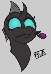Size: 709x1021 | Tagged: safe, artist:evan555alpha, imported from ponybooru, changeling, bust, dorsal fin, female, flower, happy, object in mouth, ponybooru exclusive, rose, signature, simple background, smiling, solo, white background