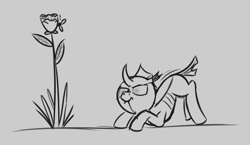 Size: 1172x678 | Tagged: safe, artist:evan555alpha, imported from ponybooru, changeling, fly, insect, behaving like a cat, dorsal fin, exclamation point, female, flower, monochrome, ponybooru exclusive, pounce, rose, scrunchy face, simple background, sketch, solo, tail wag, white background, wiggling