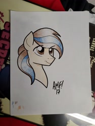 Size: 3024x4032 | Tagged: safe, artist:tonyfleecs, imported from derpibooru, oc, oc only, oc:bluetec, pony, male, photo, stallion, traditional art