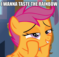 Size: 692x661 | Tagged: safe, edit, edited screencap, imported from derpibooru, screencap, scootaloo, pony, the last crusade, caption, cropped, episode needed, image macro, implied lesbian, implied licking, implied oral, implied scootadash, implied shipping, solo, text