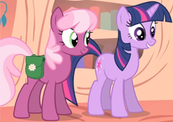 Size: 1494x1053 | Tagged: safe, imported from derpibooru, screencap, cheerilee, twilight sparkle, earth pony, unicorn, season 1, the show stoppers, bag, cropped, duo, golden oaks library, saddle bag, unicorn twilight