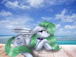 Size: 1080x810 | Tagged: safe, artist:rxndxm.artist, imported from derpibooru, oc, oc only, pegasus, pony, cloud, collar, eyelashes, female, lying down, mare, outdoors, pegasus oc, prone, smiling, solo, wings