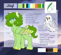 Size: 3000x2700 | Tagged: safe, artist:liefsong, imported from derpibooru, oc, oc only, oc:lief, oc:tori, bird, hippogriff, owl, chest fluff, colored wings, cutie mark, feathered fetlocks, multicolored wings, pet, reference sheet, scar, snowy owl, solo, tail feathers, wings
