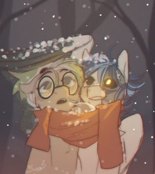 Size: 1018x1142 | Tagged: safe, artist:swoops_star, imported from derpibooru, oc, oc only, earth pony, pegasus, pony, clothes, covering, duo, glasses, looking up, scarf, shared clothing, shared scarf, snow, snowfall, wing covering, wing umbrella, wings