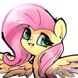 Size: 768x768 | Tagged: safe, artist:tomizawa96, imported from derpibooru, fluttershy, pegasus, pony, bust, chest fluff, female, looking at you, mare, portrait, simple background, smiling, solo, spread wings, three quarter view, white background, wings