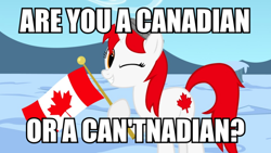 Size: 900x506 | Tagged: safe, artist:bootsyslickmane, imported from derpibooru, oc, oc only, oc:canadance, pony, canada, caption, flag, image macro, nation ponies, ponified, pun, snow, solo, text