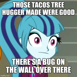 Size: 500x500 | Tagged: safe, imported from ponybooru, screencap, sonata dusk, human, equestria girls, rainbow rocks, caption, image macro, implied bug on the wall over there, implied drug use, implied tree hugger, meme, solo, text, thousand yard stare