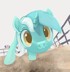 Size: 1250x1299 | Tagged: safe, artist:dotkwa, imported from derpibooru, bon bon, lyra heartstrings, sweetie drops, earth pony, pony, unicorn, :3, close-up, colored pupils, curious, cute, female, fence, horses doing horse things, looking at you, lyrabetes, mare, ponified animal photo, simple background, solo focus, white background, wide eyes