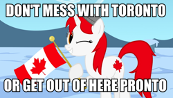 Size: 900x506 | Tagged: safe, artist:bootsyslickmane, imported from derpibooru, oc, oc only, oc:canadance, pony, canada, caption, female, flag, hat, image macro, looking at you, mare, nation ponies, one eye closed, ponified, pun, smiling, snow, solo, text, toronto, wink