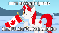 Size: 900x506 | Tagged: safe, artist:bootsyslickmane, imported from derpibooru, oc, oc only, oc:canadance, pony, canada, caption, female, flag, hat, image macro, looking at you, mare, nation ponies, one eye closed, ponified, pun, smiling, snow, solo, text, wink