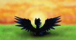 Size: 1366x728 | Tagged: safe, artist:smilingm00n, imported from derpibooru, oc, oc only, oc:bluemoon, pegasus, pony, large wings, pegasus oc, sitting, solo, sun, sunset, wings