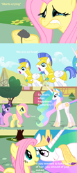 Size: 1000x2252 | Tagged: safe, artist:thegamerpainter, edit, imported from ponybooru, fluttershy, philomena, princess celestia, twilight sparkle, pegasus, pony, unicorn, 4 panel comic, ash, crying, duo focus, female, fluttercry, hoof hold, looking at each other, male, offscreen character, ponyville, royal guard, solo focus, text, text edit, trio focus, unicorn twilight