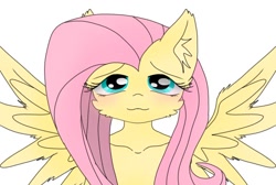 Size: 768x517 | Tagged: safe, artist:namaenonaipony, imported from derpibooru, fluttershy, anthro, pegasus, blushing, cheek fluff, cute, ear fluff, shyabetes, simple background, solo, white background