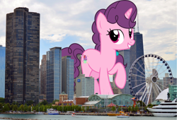 Size: 1920x1302 | Tagged: safe, artist:jhayarr23, artist:quinn kampschroer, edit, editor:jaredking203, imported from derpibooru, vector edit, sugar belle, pony, unicorn, chicago, female, giant pony, giant unicorn, giantess, highrise ponies, illinois, irl, macro, mare, mega giant, photo, ponies in real life, story included, vector