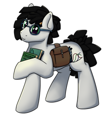 Size: 1660x1860 | Tagged: safe, artist:luther, imported from derpibooru, oc, oc only, oc:gear crunch, earth pony, pony, derpibooru community collaboration, 2021 community collab, bag, male, saddle bag, simple background, smiling, solo, standing, transparent background