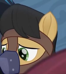 Size: 566x631 | Tagged: safe, imported from derpibooru, screencap, golden delicious, pony, my little pony: the movie, apple family member, gag, male, muzzle gag, stallion