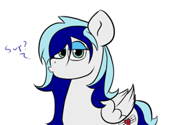 Size: 1100x800 | Tagged: safe, artist:tranzmuteproductions, imported from derpibooru, oc, oc only, pegasus, pony, bedroom eyes, duckface, eyelashes, female, mare, pegasus oc, simple background, solo, talking, white background