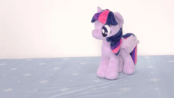 Size: 853x480 | Tagged: safe, artist:nekokevin, imported from derpibooru, twilight sparkle, alicorn, pony, 4de, animated, ball, behaving like a dog, butt shake, female, gif, irl, looking at something, looking down, mare, plushie, smiling, solo, spread wings, stop motion, twilight sparkle (alicorn), wings