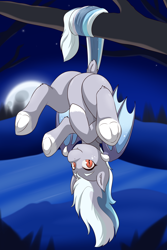 Size: 2000x3000 | Tagged: safe, artist:cainesart, imported from derpibooru, oc, oc only, oc:evening chill, bat pony, pony, bat pony oc, featureless crotch, female, hanging from tree, high res, looking at you, mare, moon, night, smiling, smiling at you, solo, upside down
