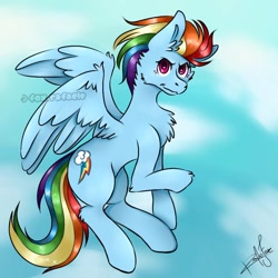 Size: 800x800 | Tagged: safe, artist:rafaelefox, imported from derpibooru, rainbow dash, pegasus, pony, chest fluff, cloud, female, flying, sky, solo